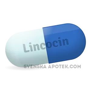 Buying_Lincocin_online